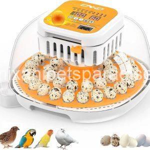 36 Quail Incubators for Hatching Eggs, Quail Egg Incubator with Automatic Egg Turning and Humidity Control,