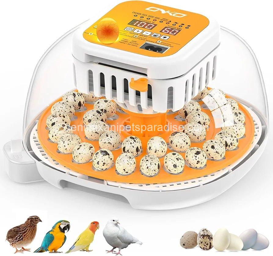 36 Quail Incubators for Hatching Eggs, Quail Egg Incubator with Automatic Egg Turning and Humidity Control, 1 36 Quail Incubators for Hatching Eggs, Quail Egg Incubator with Automatic Egg Turning and Humidity Control,