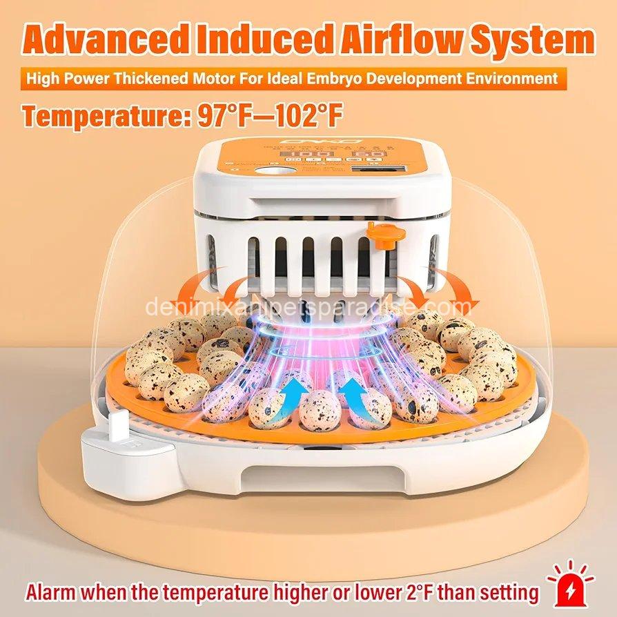 36 Quail Incubators for Hatching Eggs, Quail Egg Incubator with Automatic Egg Turning and Humidity Control, 9 36 Quail Incubators for Hatching Eggs, Quail Egg Incubator with Automatic Egg Turning and Humidity Control, - Image 9