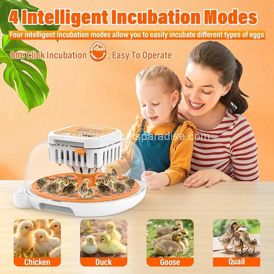 36 Quail Incubators for Hatching Eggs, Quail Egg Incubator with Automatic Egg Turning and Humidity Control, 5 36 Quail Incubators for Hatching Eggs, Quail Egg Incubator with Automatic Egg Turning and Humidity Control, - Image 5