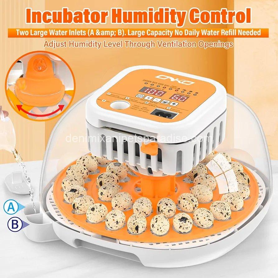 36 Quail Incubators for Hatching Eggs, Quail Egg Incubator with Automatic Egg Turning and Humidity Control, 3 36 Quail Incubators for Hatching Eggs, Quail Egg Incubator with Automatic Egg Turning and Humidity Control, - Image 3