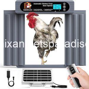 Automatic Chicken Coop Door, Anti-Pinch Protection, Extra Large Size,