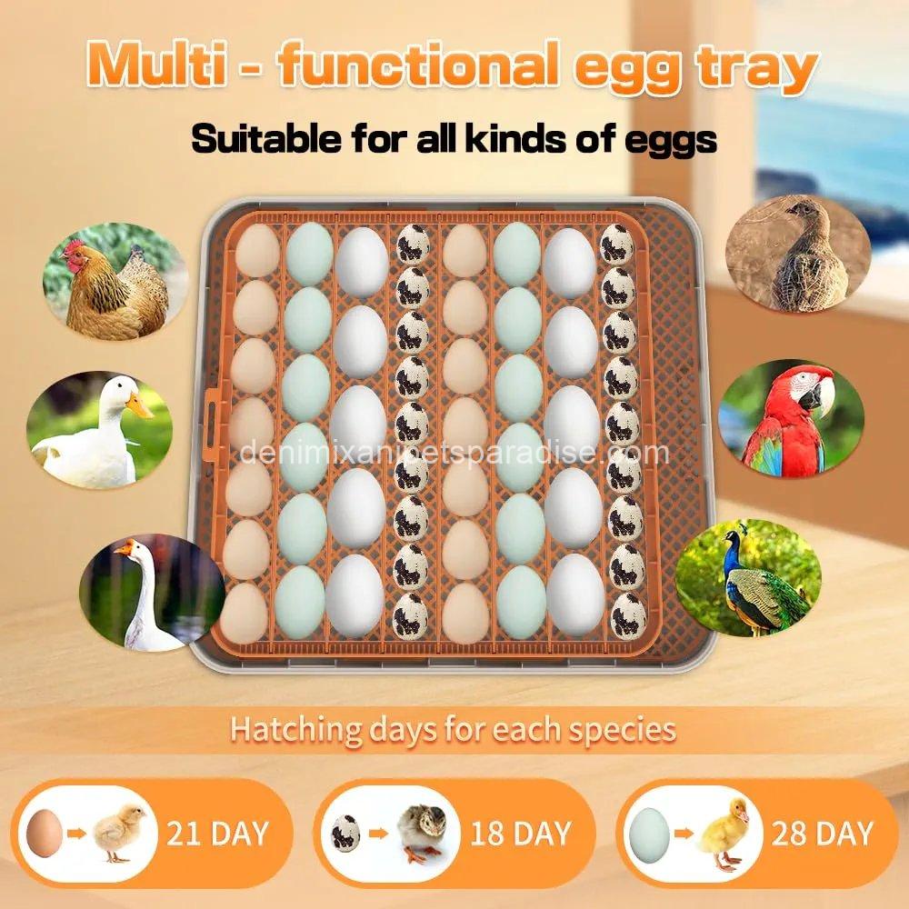 HOWOOlUA 56 Egg Incubator for Hatching Eggs with Auto Turn,  4 HOWOOlUA 56 Egg Incubator for Hatching Eggs with Auto Turn,  - Image 4