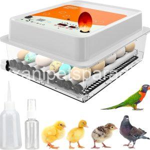 Incubators for Hatching Eggs - 36 pcs | Incubator with Automatic Turning and Humidity Control 