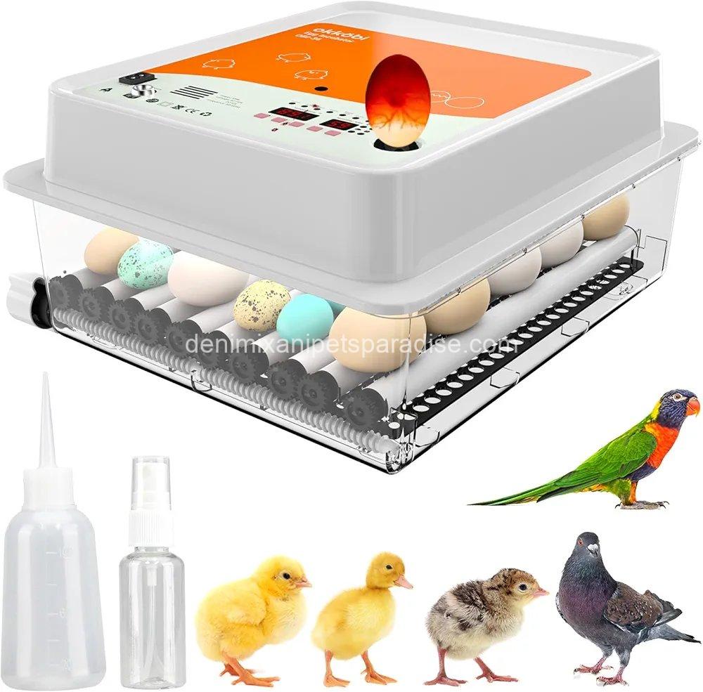 Incubators for Hatching Eggs - 36 pcs | Incubator with Automatic Turning and Humidity Control  1 Incubators for Hatching Eggs - 36 pcs | Incubator with Automatic Turning and Humidity Control