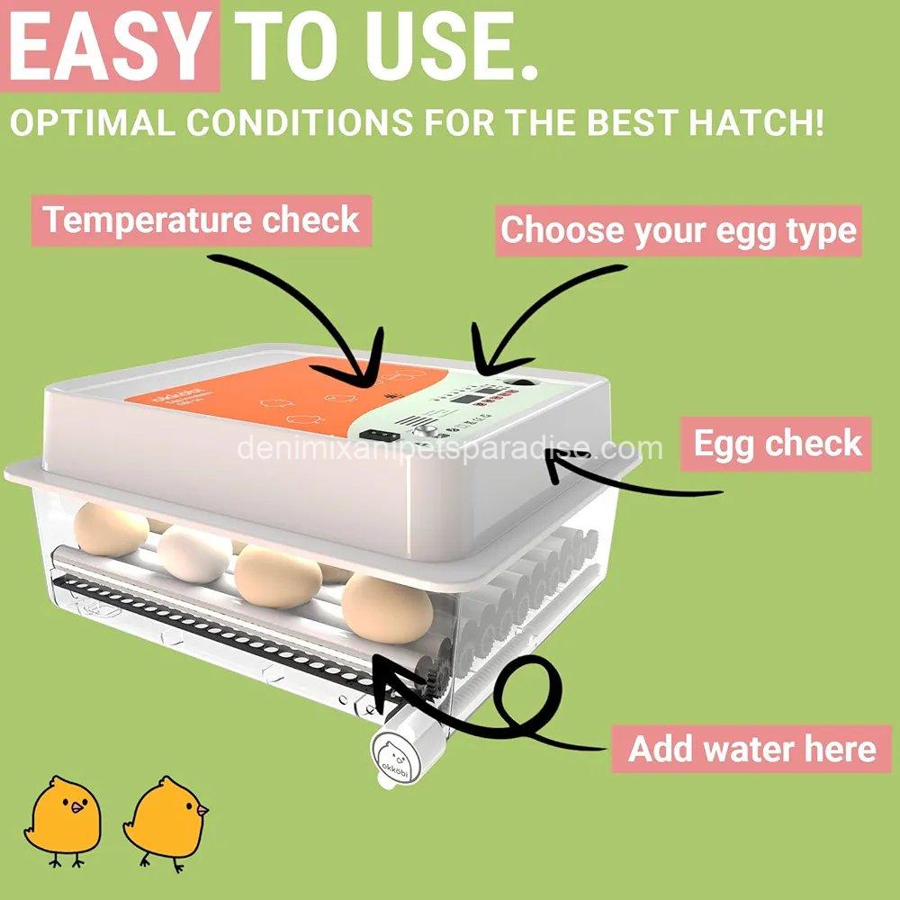 Incubators for Hatching Eggs - 36 pcs | Incubator with Automatic Turning and Humidity Control  3 Incubators for Hatching Eggs - 36 pcs | Incubator with Automatic Turning and Humidity Control  - Image 3