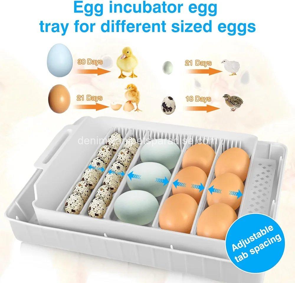 ncubators for Hatching Eggs 15-35 Eggs Incubator with Automatic Egg Turning and ℉Temperature Display LED Candler Poultry Incubator for Hatching Chicken Duck and Quail Incubator (Blue) 4 ncubators for Hatching Eggs 15-35 Eggs Incubator with Automatic Egg Turning and ℉Temperature Display LED Candler Poultry Incubator for Hatching Chicken Duck and Quail Incubator (Blue) - Image 4