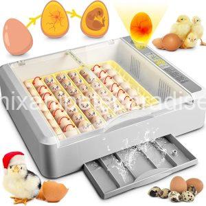 36-60 Egg Incubator with Automatic Egg Turning and Humidity Control