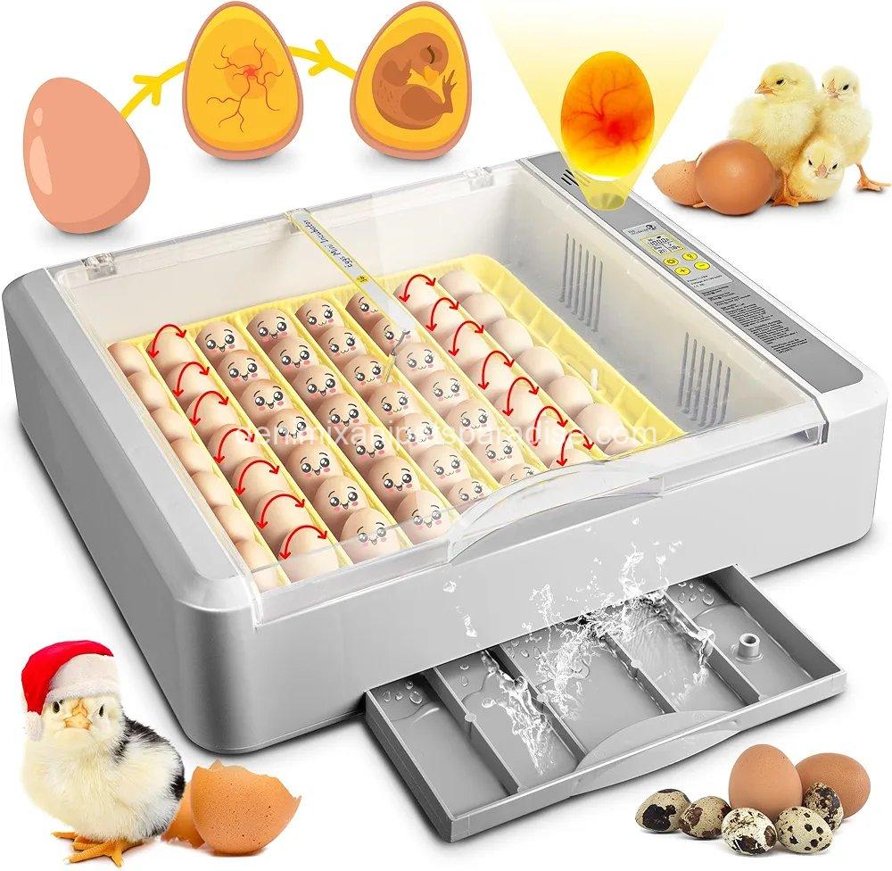 36-60 Egg Incubator with Automatic Egg Turning and Humidity Control 1 36-60 Egg Incubator with Automatic Egg Turning and Humidity Control