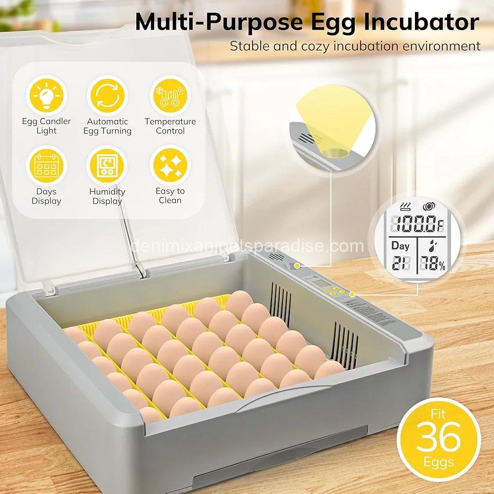 36-60 Egg Incubator with Automatic Egg Turning and Humidity Control 4 36-60 Egg Incubator with Automatic Egg Turning and Humidity Control - Image 4