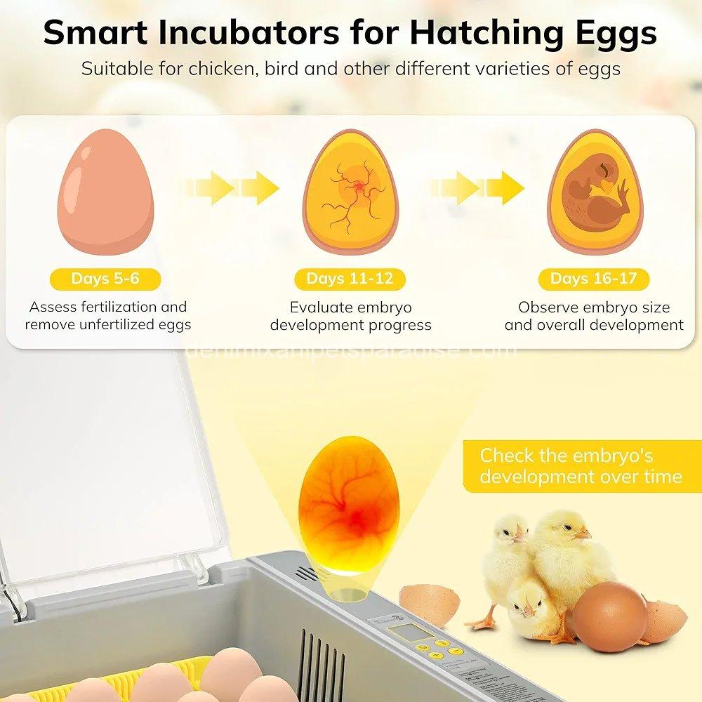 36-60 Egg Incubator with Automatic Egg Turning and Humidity Control 5 36-60 Egg Incubator with Automatic Egg Turning and Humidity Control - Image 5