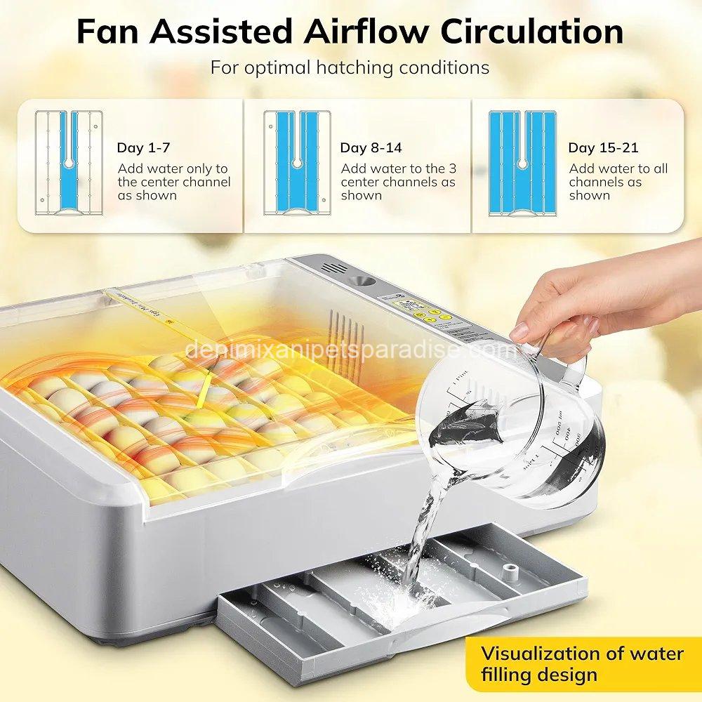 36-60 Egg Incubator with Automatic Egg Turning and Humidity Control 2 36-60 Egg Incubator with Automatic Egg Turning and Humidity Control - Image 2