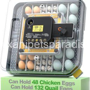 Egg Incubator for Hatching 48-132 Chicken/Quail/Turkey Eggs, 360° View Poultry