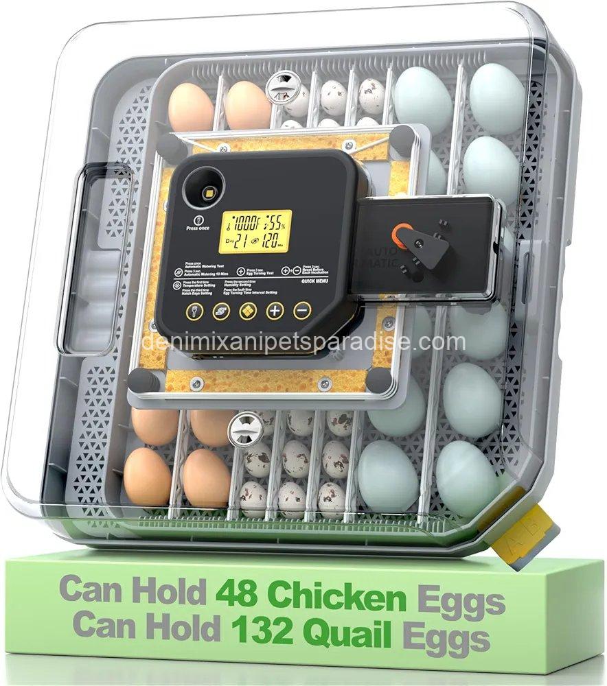 Egg Incubator for Hatching 48-132 Chicken/Quail/Turkey Eggs, 360° View Poultry 1 Egg Incubator for Hatching 48-132 Chicken/Quail/Turkey Eggs, 360° View Poultry