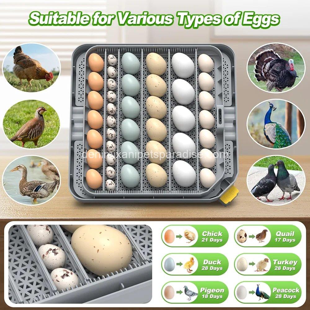 Egg Incubator for Hatching 48-132 Chicken/Quail/Turkey Eggs, 360° View Poultry 2 Egg Incubator for Hatching 48-132 Chicken/Quail/Turkey Eggs, 360° View Poultry - Image 2