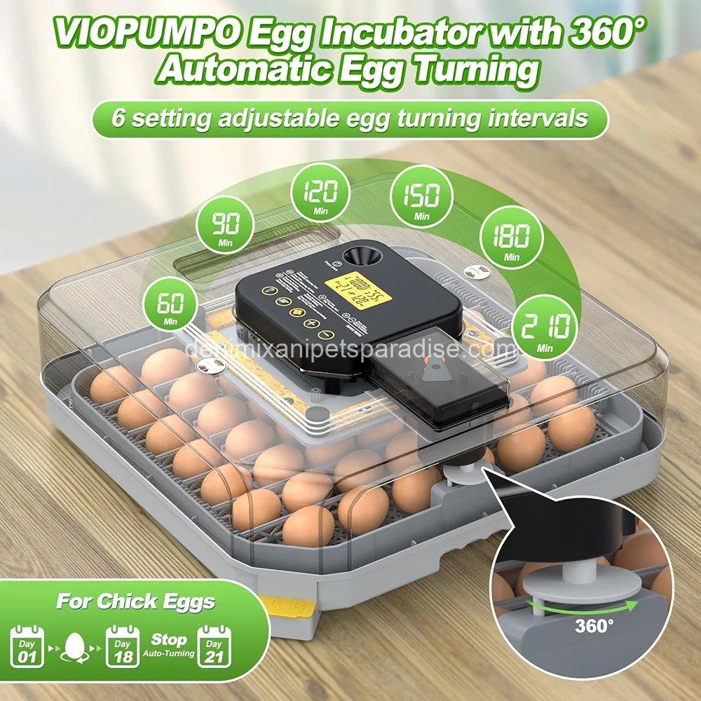 Egg Incubator for Hatching 48-132 Chicken/Quail/Turkey Eggs, 360° View Poultry 4 Egg Incubator for Hatching 48-132 Chicken/Quail/Turkey Eggs, 360° View Poultry - Image 4