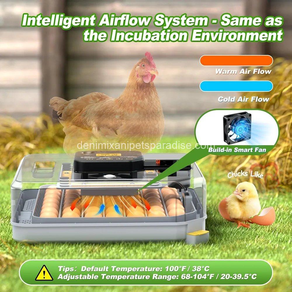Egg Incubator for Hatching 48-132 Chicken/Quail/Turkey Eggs, 360° View Poultry 5 Egg Incubator for Hatching 48-132 Chicken/Quail/Turkey Eggs, 360° View Poultry - Image 5