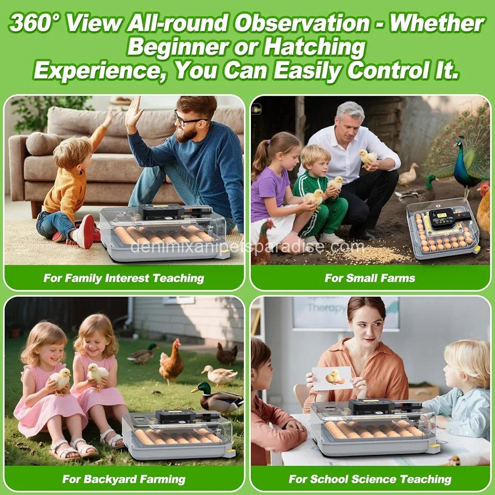 Egg Incubator for Hatching 48-132 Chicken/Quail/Turkey Eggs, 360° View Poultry 6 Egg Incubator for Hatching 48-132 Chicken/Quail/Turkey Eggs, 360° View Poultry - Image 6
