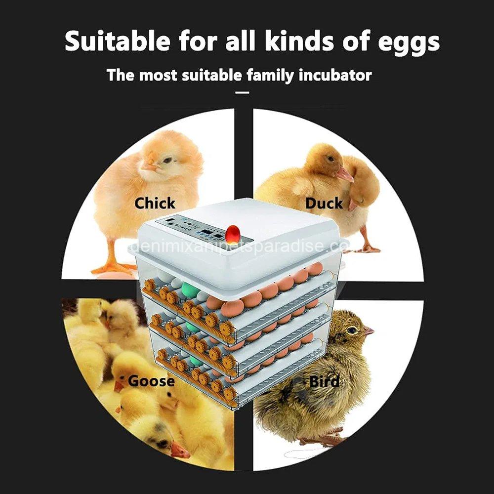 JAEDO Automatic Egg Incubator 150~180 Egg Incubator Digital Automatic Hatcher with Egg Turning for Chickens Ducks Goose Birds 3 JAEDO Automatic Egg Incubator 150~180 Egg Incubator Digital Automatic Hatcher with Egg Turning for Chickens Ducks Goose Birds - Image 3