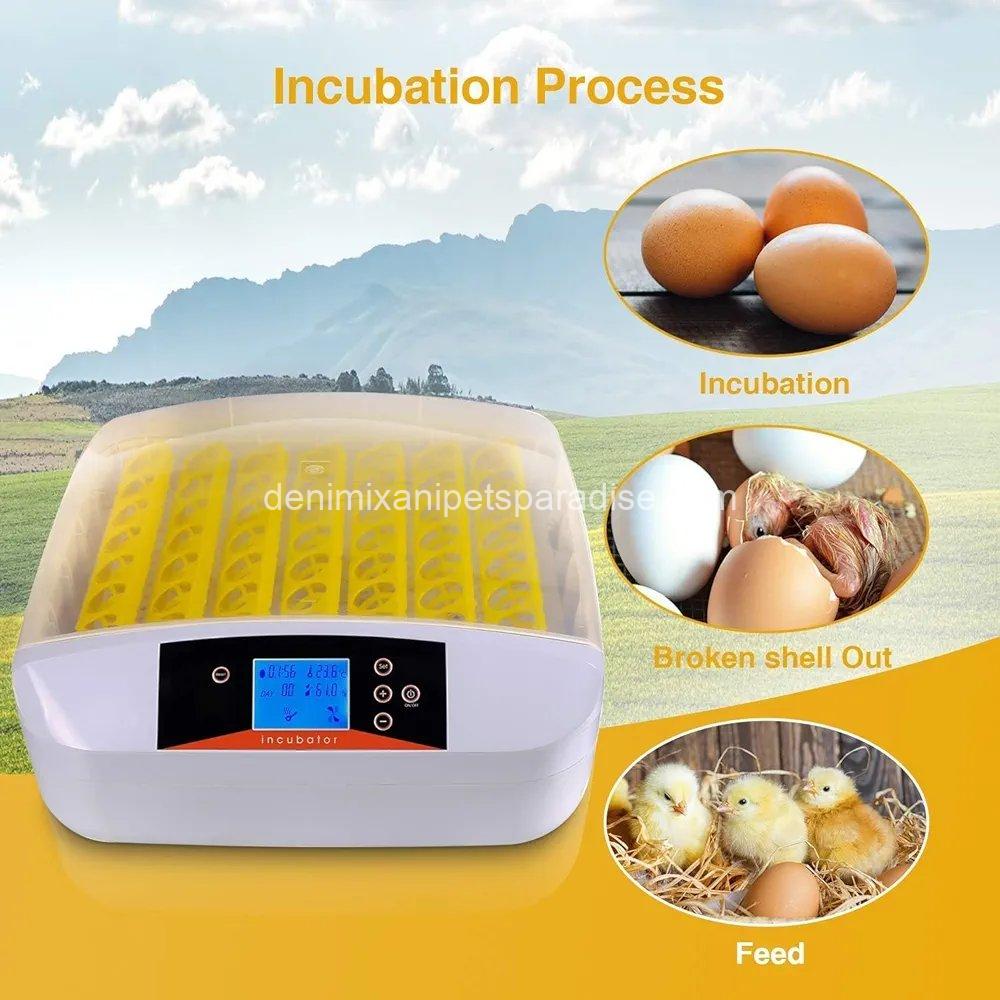 55 Egg Incubator with Humidity Display, Egg Candler, Automatic Egg Turner, for Hatching Chickens 2 55 Egg Incubator with Humidity Display, Egg Candler, Automatic Egg Turner, for Hatching Chickens - Image 2