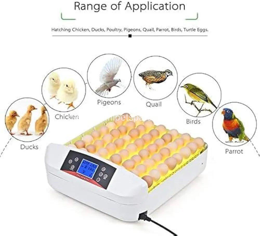 55 Egg Incubator with Humidity Display, Egg Candler, Automatic Egg Turner, for Hatching Chickens 5 55 Egg Incubator with Humidity Display, Egg Candler, Automatic Egg Turner, for Hatching Chickens - Image 5