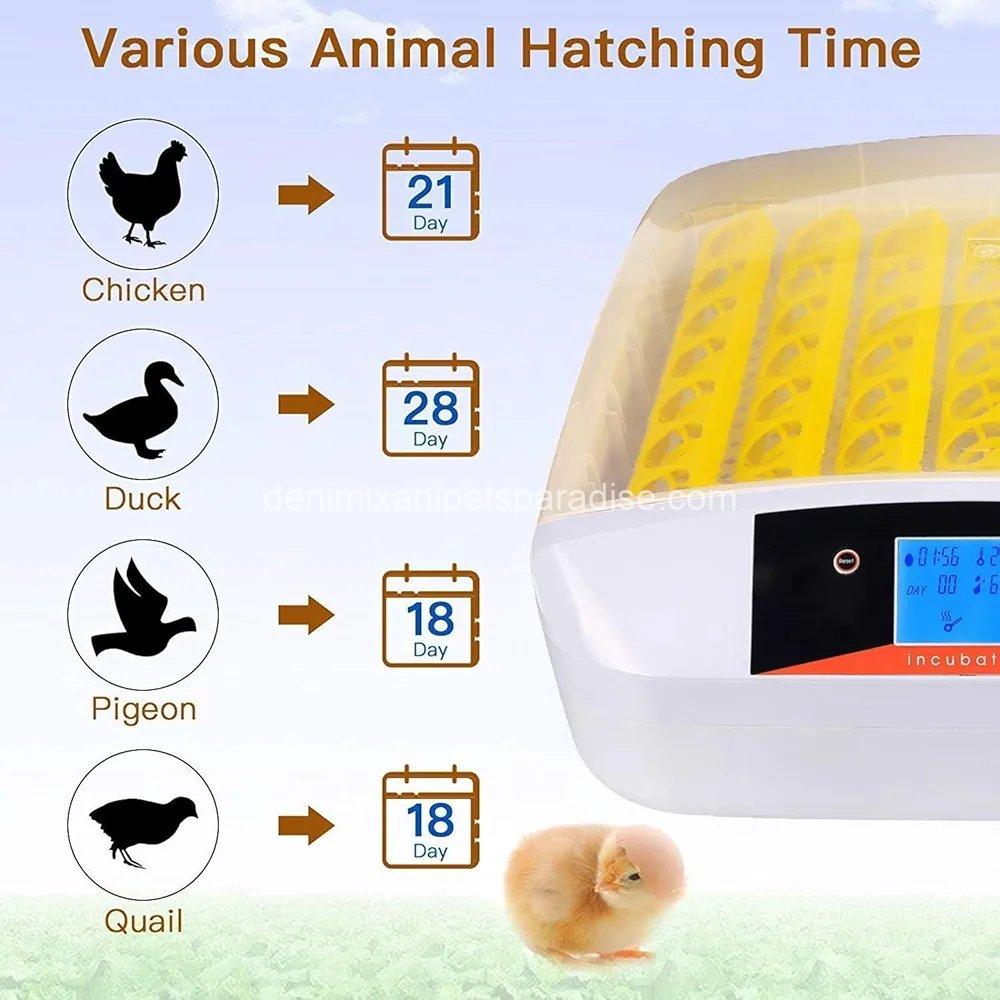 55 Egg Incubator with Humidity Display, Egg Candler, Automatic Egg Turner, for Hatching Chickens 6 55 Egg Incubator with Humidity Display, Egg Candler, Automatic Egg Turner, for Hatching Chickens - Image 6