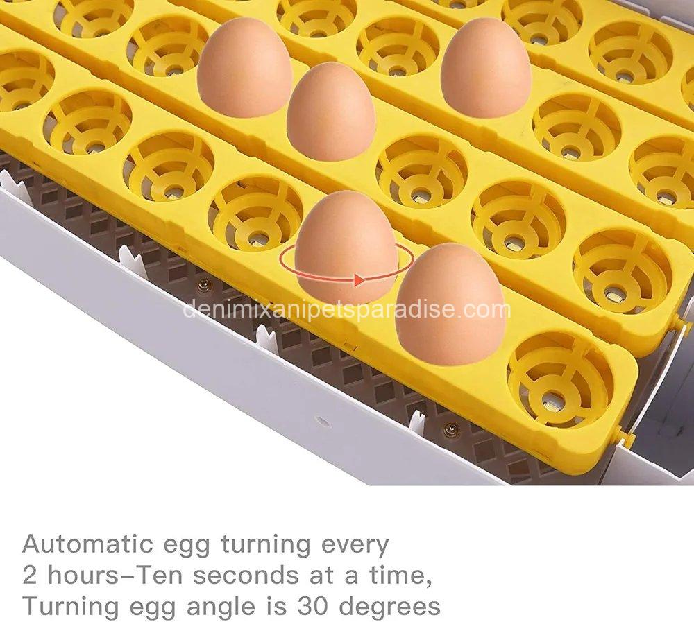 55 Egg Incubator with Humidity Display, Egg Candler, Automatic Egg Turner, for Hatching Chickens 7 55 Egg Incubator with Humidity Display, Egg Candler, Automatic Egg Turner, for Hatching Chickens - Image 7