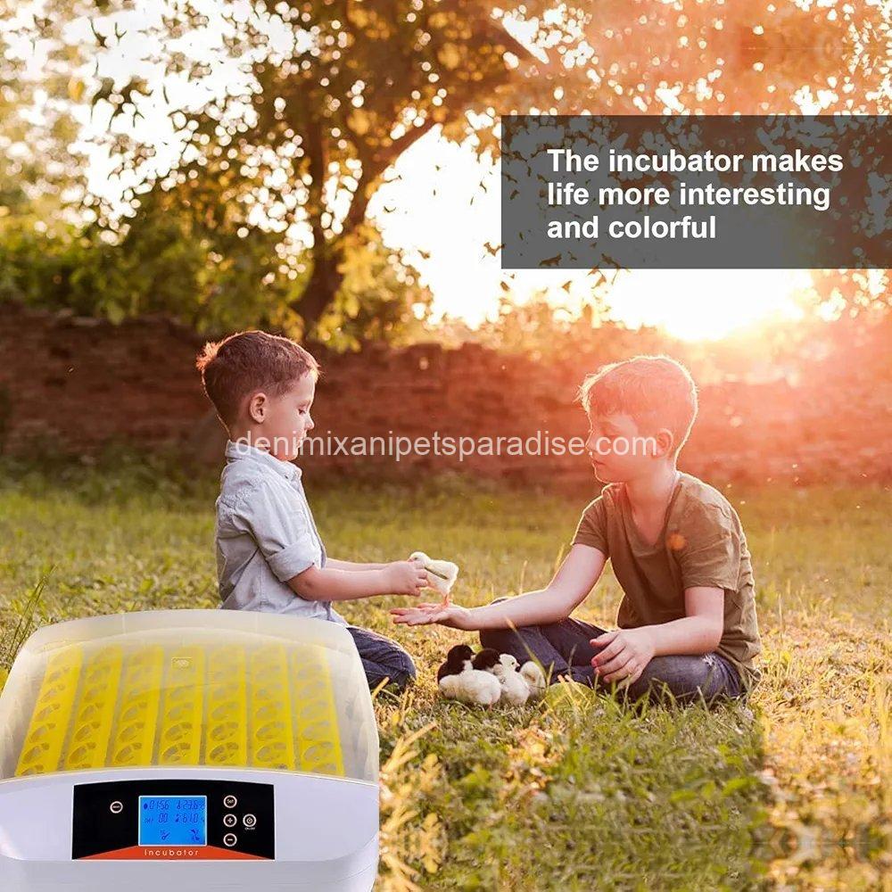 55 Egg Incubator with Humidity Display, Egg Candler, Automatic Egg Turner, for Hatching Chickens 8 55 Egg Incubator with Humidity Display, Egg Candler, Automatic Egg Turner, for Hatching Chickens - Image 8