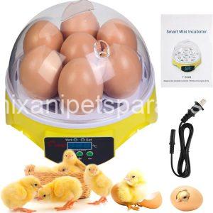 7-Egg Incubator 360° View Poultry Incubator with Manual Temperature Control for Hatching Chicken,