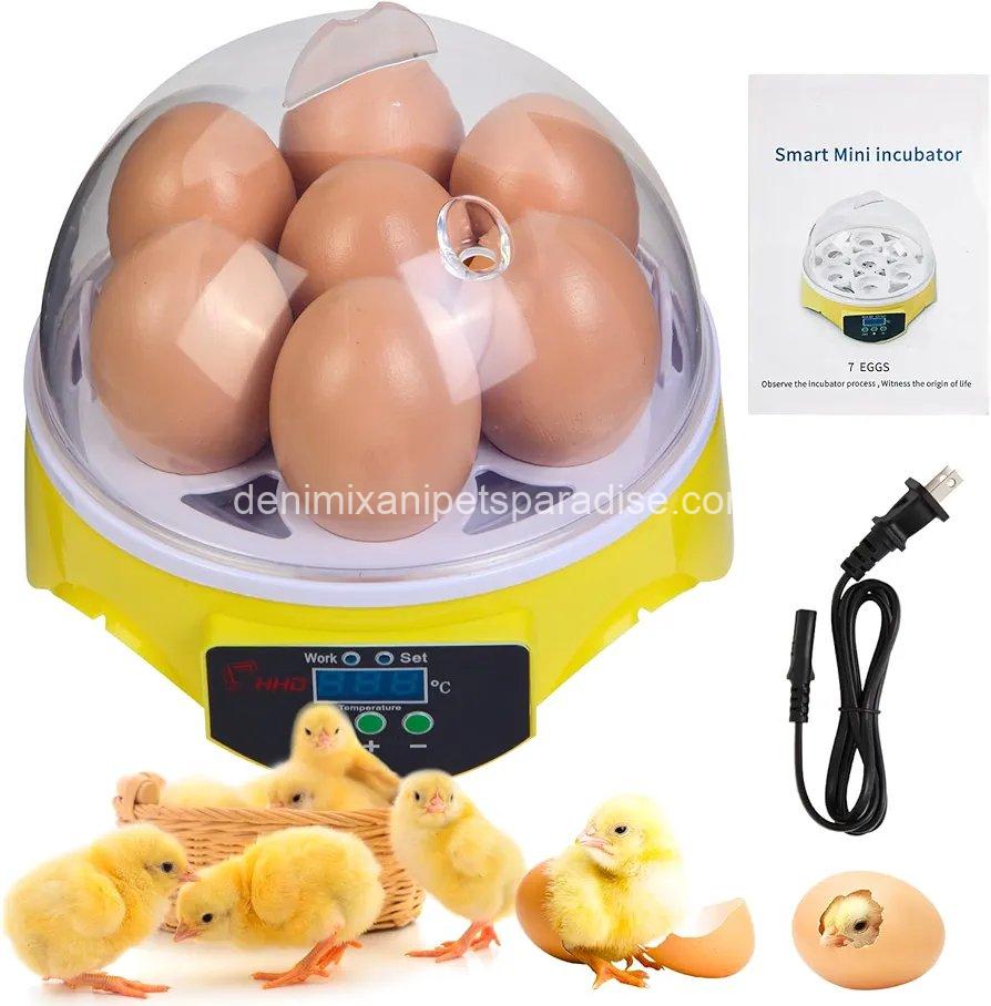 7-Egg Incubator 360° View Poultry Incubator with Manual Temperature Control for Hatching Chicken, 1 7-Egg Incubator 360° View Poultry Incubator with Manual Temperature Control for Hatching Chicken,
