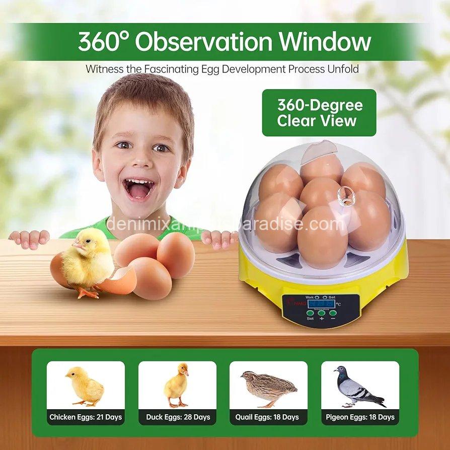 7-Egg Incubator 360° View Poultry Incubator with Manual Temperature Control for Hatching Chicken, 3 7-Egg Incubator 360° View Poultry Incubator with Manual Temperature Control for Hatching Chicken, - Image 3