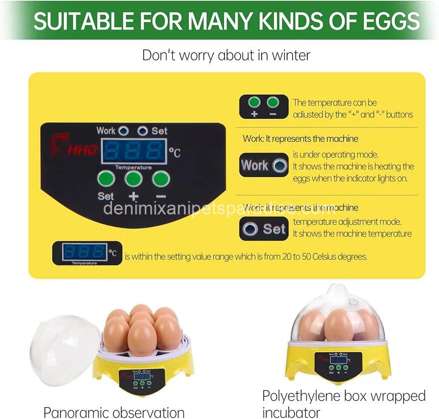7-Egg Incubator 360° View Poultry Incubator with Manual Temperature Control for Hatching Chicken, 5 7-Egg Incubator 360° View Poultry Incubator with Manual Temperature Control for Hatching Chicken, - Image 5