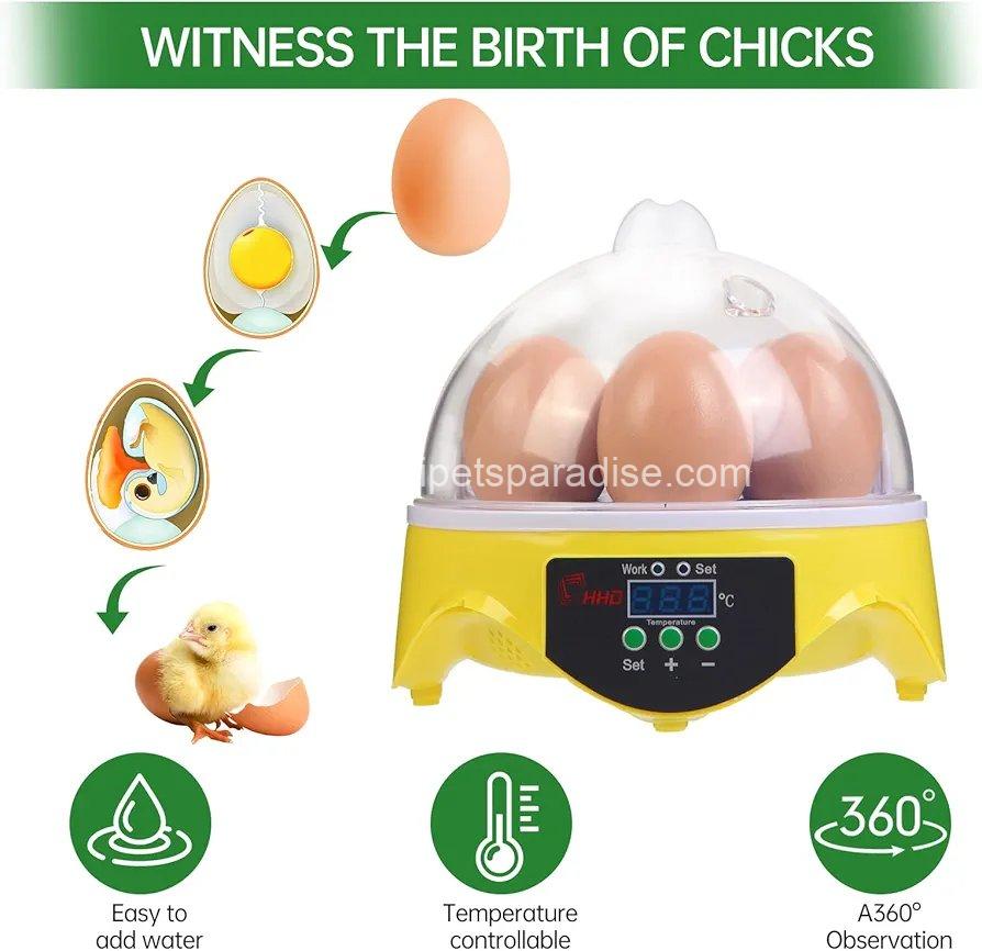 7-Egg Incubator 360° View Poultry Incubator with Manual Temperature Control for Hatching Chicken, 6 7-Egg Incubator 360° View Poultry Incubator with Manual Temperature Control for Hatching Chicken, - Image 6