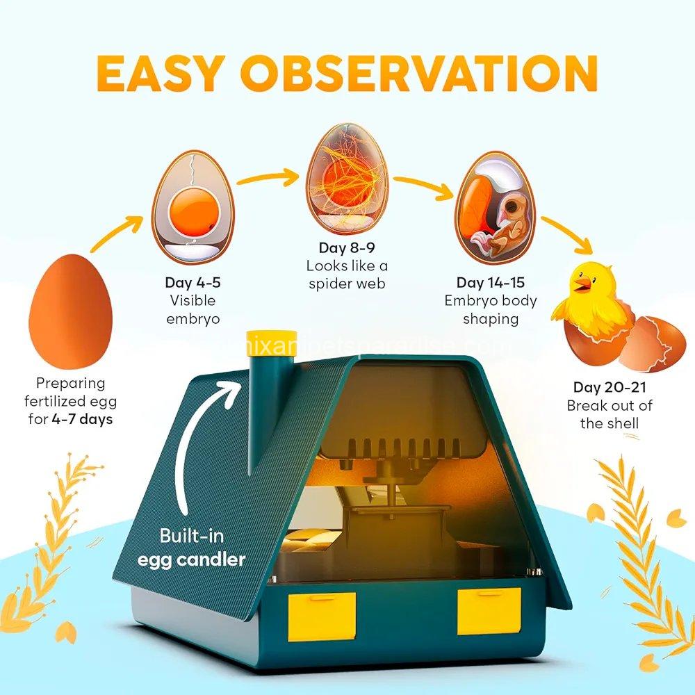 Incubators for Hatching Eggs - Ideal All Ages | Egg Incubator with Automatic Egg Turning and Humidity Control  4 Incubators for Hatching Eggs - Ideal All Ages | Egg Incubator with Automatic Egg Turning and Humidity Control  - Image 4
