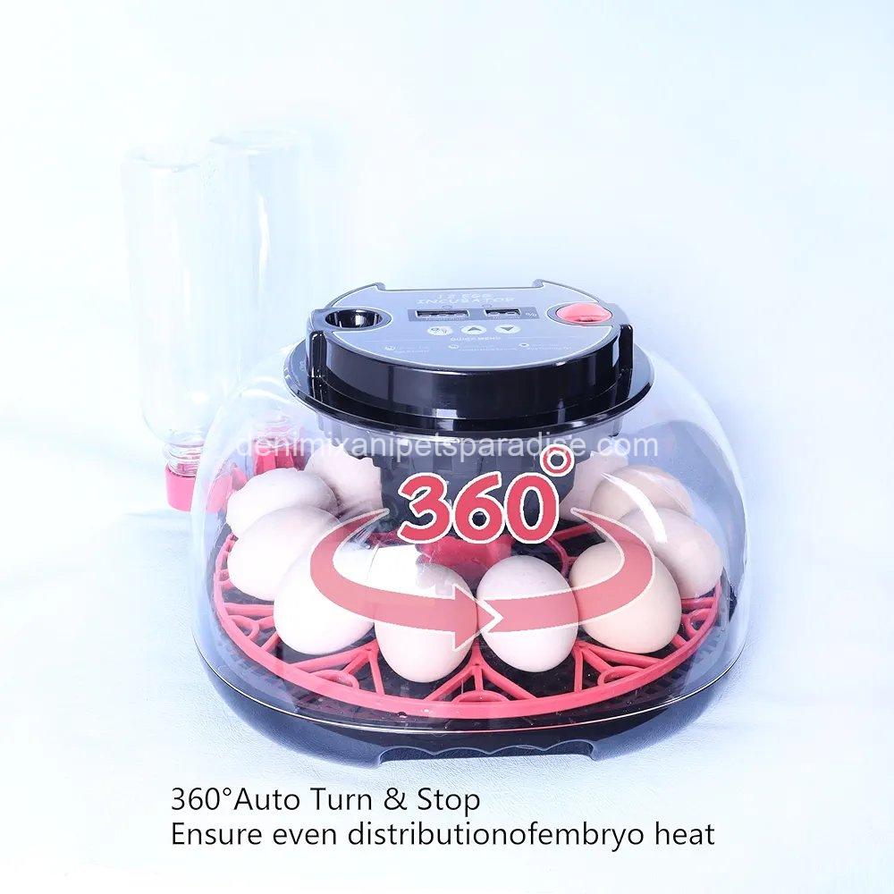 12 Eggs Incubator with Humidity Display and Candler, Automatic Egg Turner, for Hatching Chickens 6 12 Eggs Incubator with Humidity Display and Candler, Automatic Egg Turner, for Hatching Chickens - Image 6