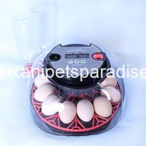 Denimix Anipets Paradise 102 12 Eggs Incubator with Humidity Display and Candler, Automatic Egg Turner, for Hatching Chickens