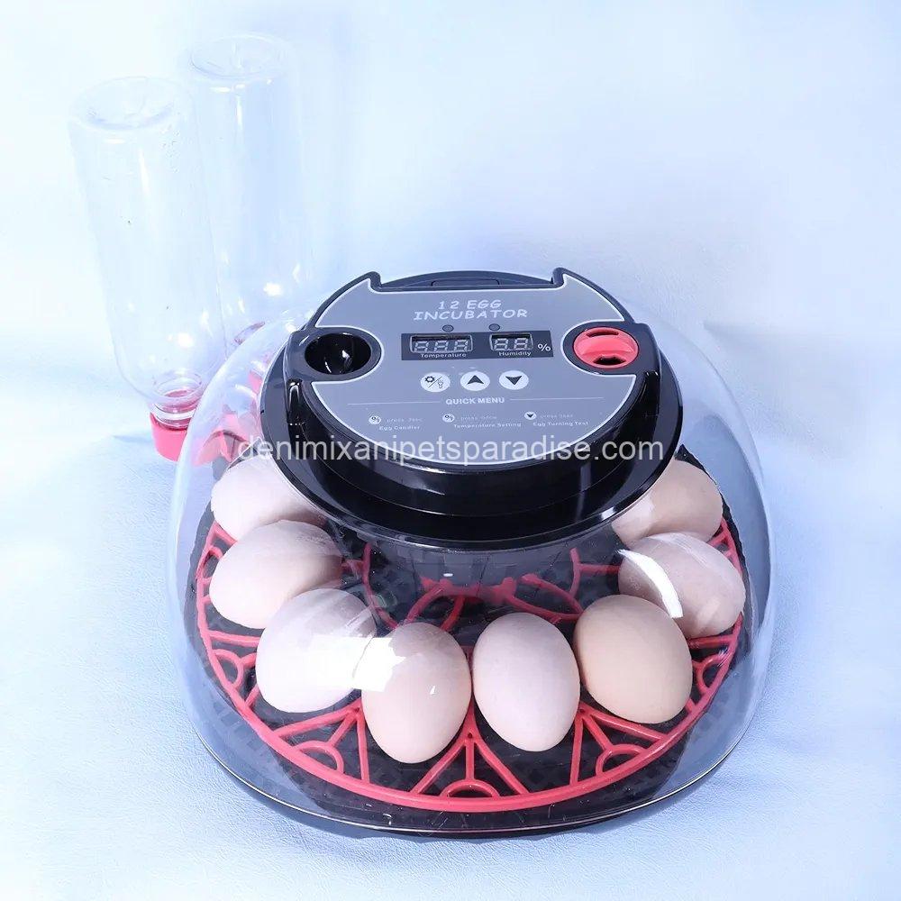 12 Eggs Incubator with Humidity Display and Candler, Automatic Egg Turner, for Hatching Chickens 1 12 Eggs Incubator with Humidity Display and Candler, Automatic Egg Turner, for Hatching Chickens