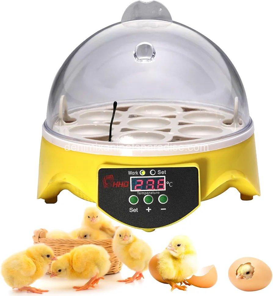 360° View 7-Egg Poultry Incubator for Hatching Chicken,  1 360° View 7-Egg Poultry Incubator for Hatching Chicken,