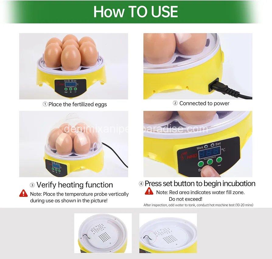 360° View 7-Egg Poultry Incubator for Hatching Chicken,  5 360° View 7-Egg Poultry Incubator for Hatching Chicken,  - Image 5