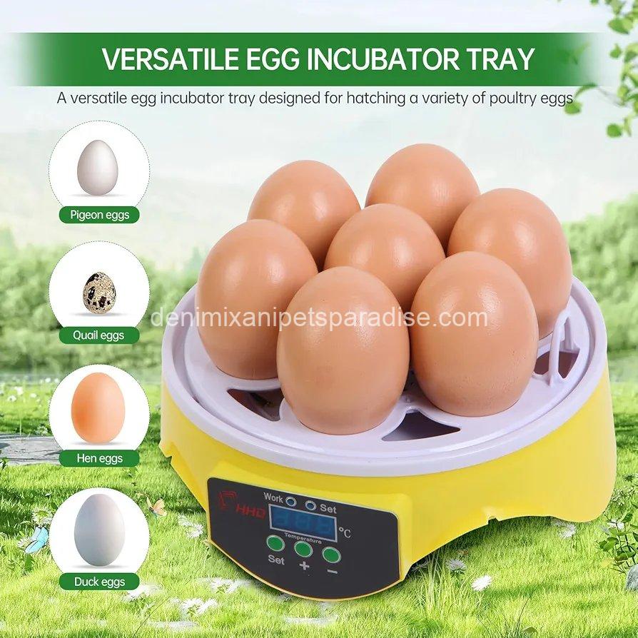 360° View 7-Egg Poultry Incubator for Hatching Chicken,  2 360° View 7-Egg Poultry Incubator for Hatching Chicken,  - Image 2