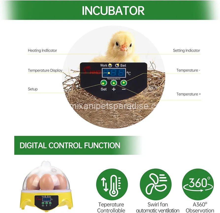360° View 7-Egg Poultry Incubator for Hatching Chicken,  4 360° View 7-Egg Poultry Incubator for Hatching Chicken,  - Image 4