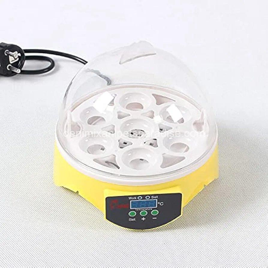 360° View 7-Egg Poultry Incubator for Hatching Chicken,  3 360° View 7-Egg Poultry Incubator for Hatching Chicken,  - Image 3