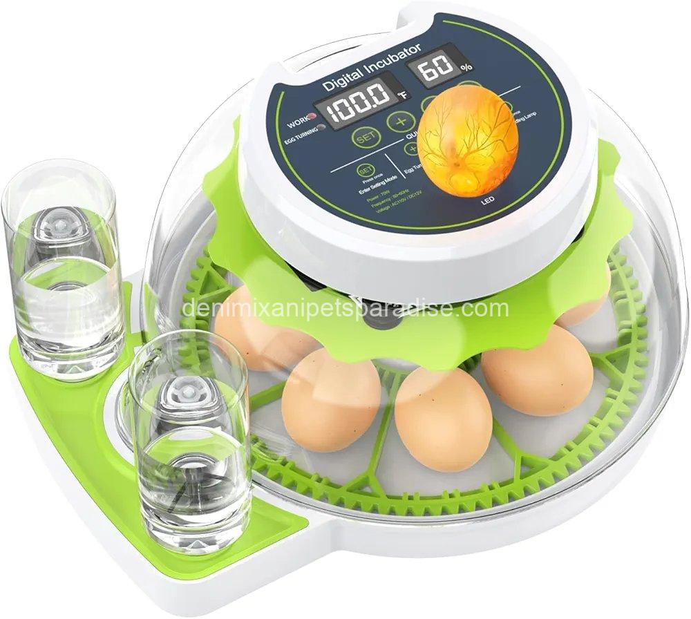 8 Egg Incubator with Automatic Egg Turning, Temperature & Humidity Control, 1 8 Egg Incubator with Automatic Egg Turning, Temperature & Humidity Control,