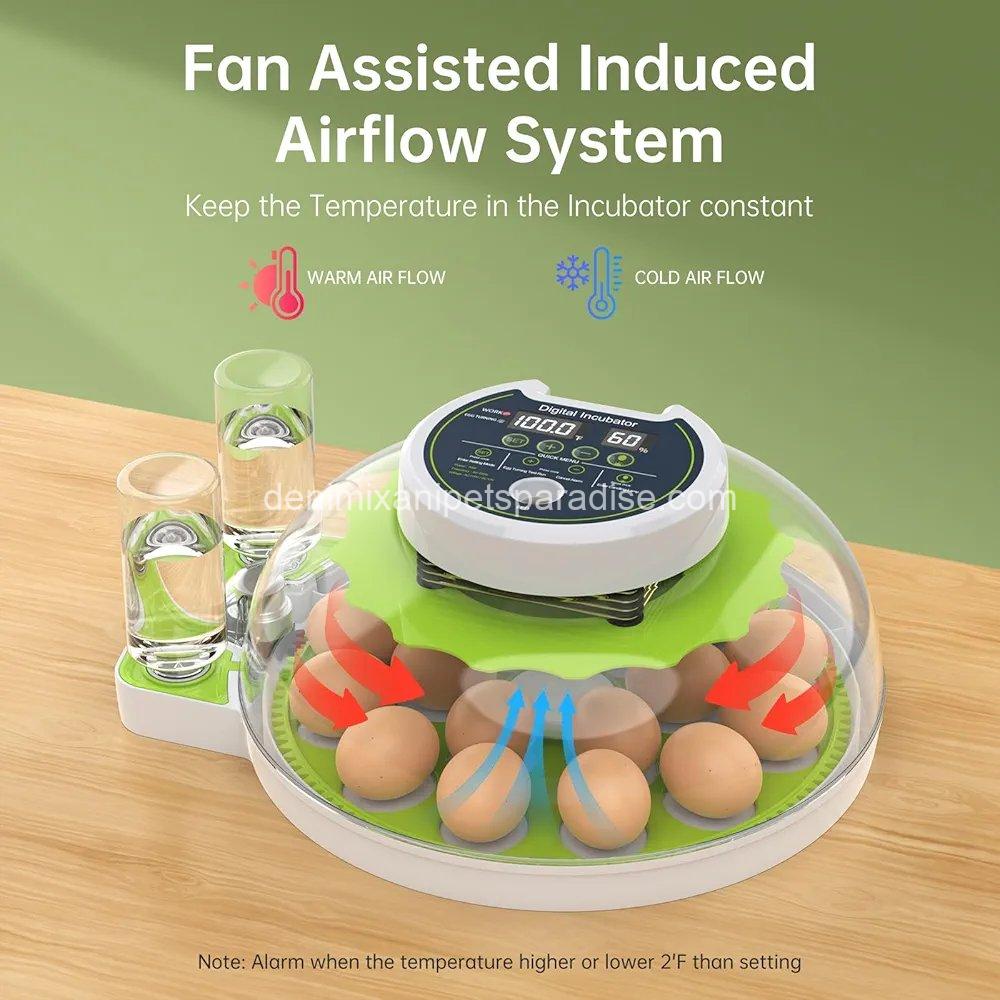 8 Egg Incubator with Automatic Egg Turning, Temperature & Humidity Control, 3 8 Egg Incubator with Automatic Egg Turning, Temperature & Humidity Control, - Image 3