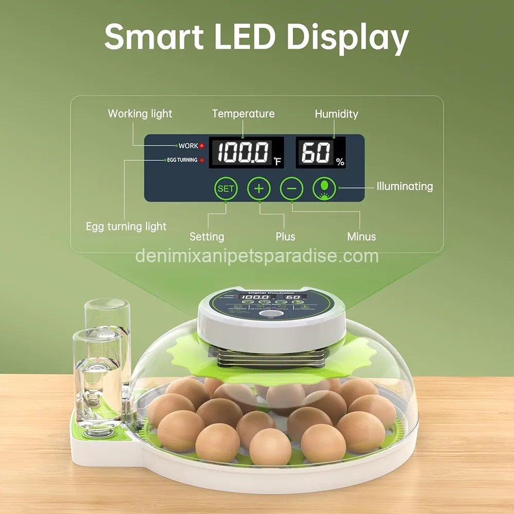 8 Egg Incubator with Automatic Egg Turning, Temperature & Humidity Control, 4 8 Egg Incubator with Automatic Egg Turning, Temperature & Humidity Control, - Image 4