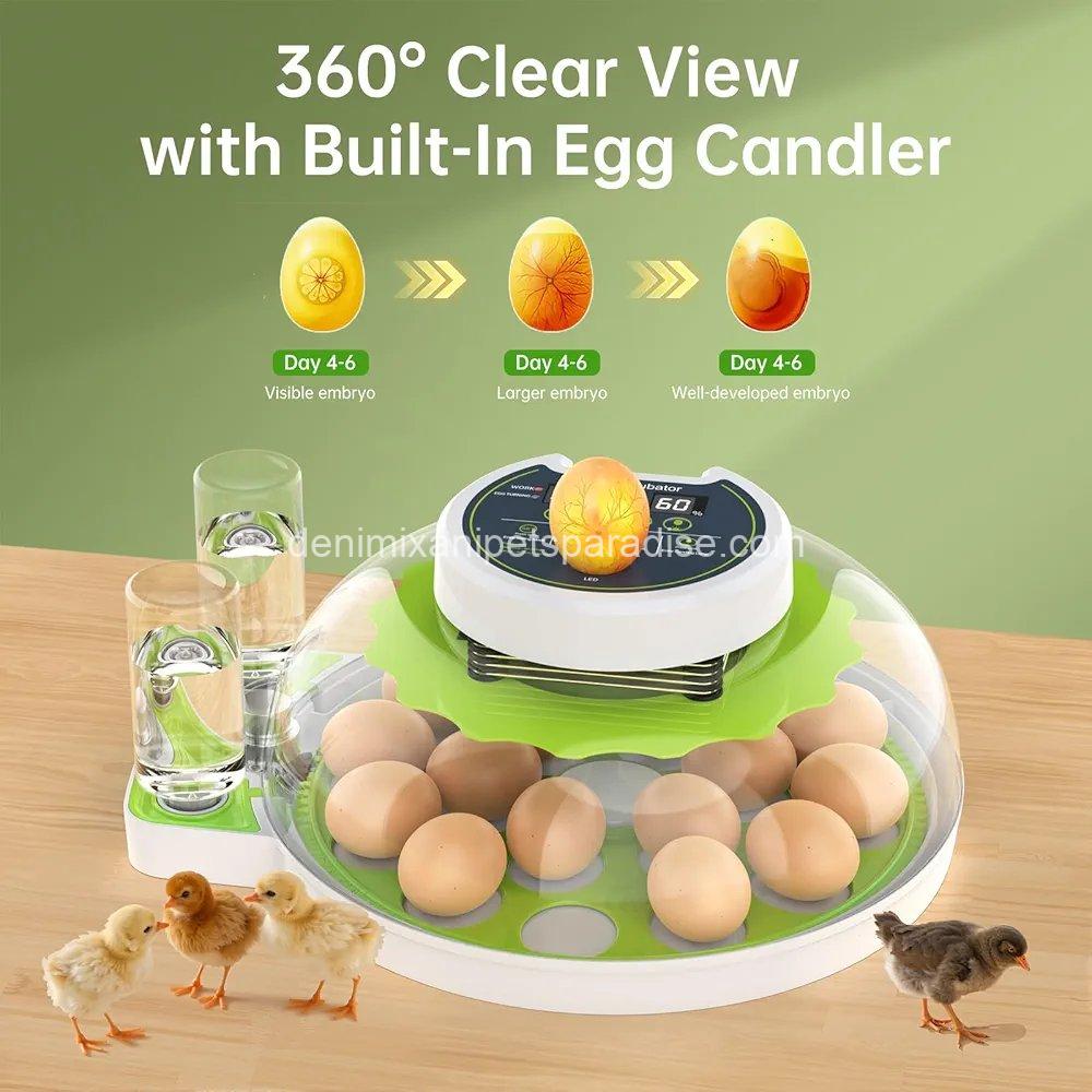 8 Egg Incubator with Automatic Egg Turning, Temperature & Humidity Control, 7 8 Egg Incubator with Automatic Egg Turning, Temperature & Humidity Control, - Image 7