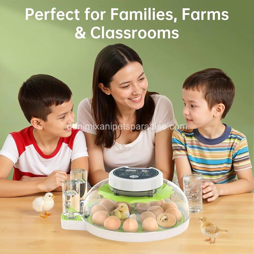 8 Egg Incubator with Automatic Egg Turning, Temperature & Humidity Control, 5 8 Egg Incubator with Automatic Egg Turning, Temperature & Humidity Control, - Image 5