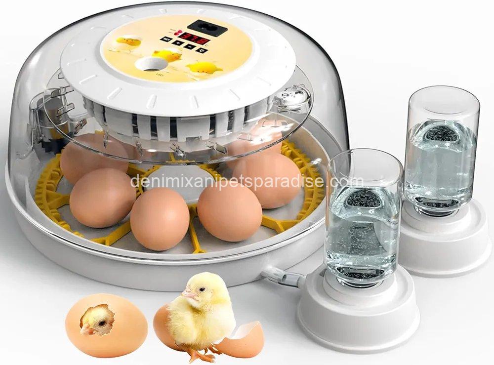 8 Egg Incubators for Hatching Eggs, Automatic Egg Turner and Egg Candle Tester,  1 8 Egg Incubators for Hatching Eggs, Automatic Egg Turner and Egg Candle Tester,