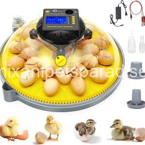 24 Eggs Incubator with Temperature and Humidity Display, Automatic Egg Turning,