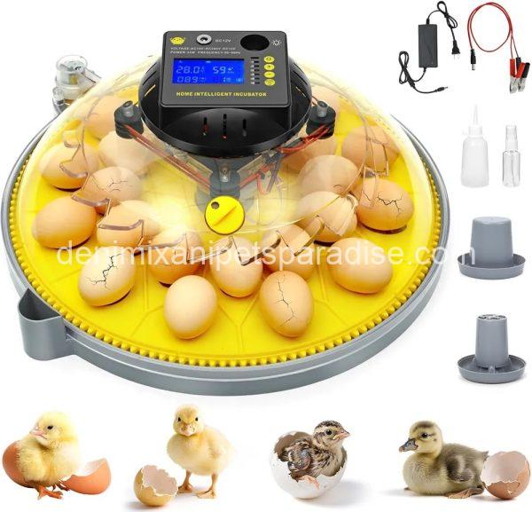 24 Eggs Incubator with Temperature and Humidity Display, Automatic Egg Turning,